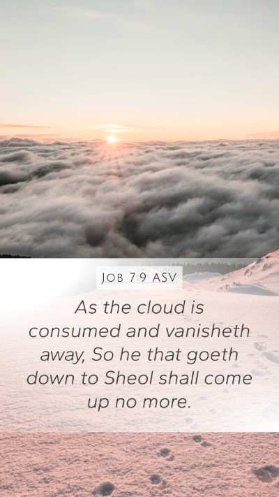 Job 7:9 ASV Bible Verse Image