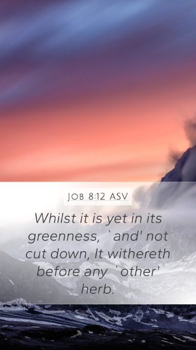 Job 8:12 ASV Mobile Phone Wallpaper - Whilst it is yet in its greenness, `and' not cut - Mobile Bible Verse Wallpaper