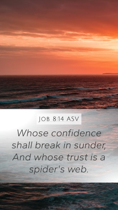 Job 8:14 ASV Bible Verse Image