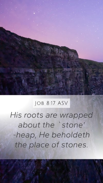 Job 8:17 ASV Mobile Phone Wallpaper - His roots are wrapped about the `stone' -heap, He - Mobile Bible Verse Wallpaper