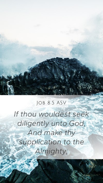 Job 8:5 ASV Bible Verse Image