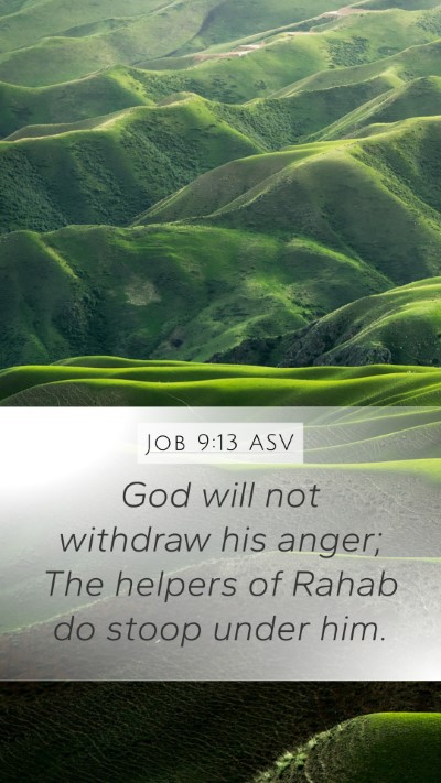 Job 9:13 ASV Bible Verse Image