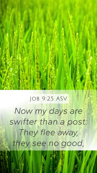 Job 9:25 ASV Bible Verse Image