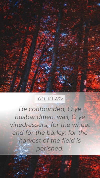 Joel 1:11 ASV Bible Verse Image