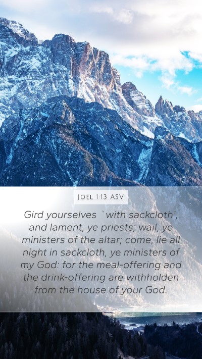 Joel 1:13 ASV Bible Verse Image