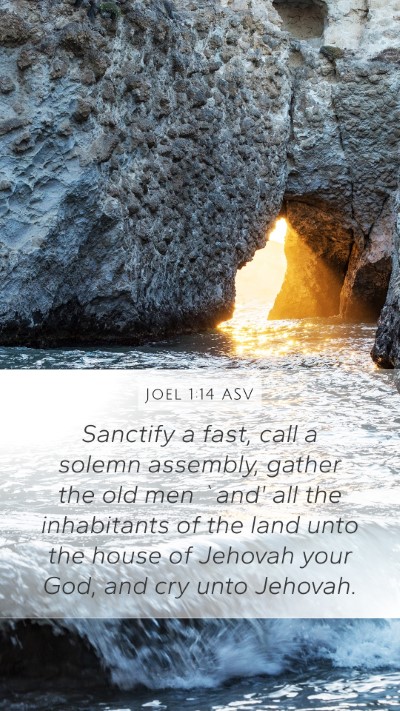 Joel 1:14 ASV Bible Verse Image