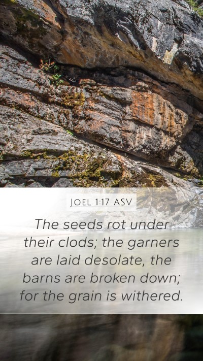 Joel 1:17 ASV Bible Verse Image