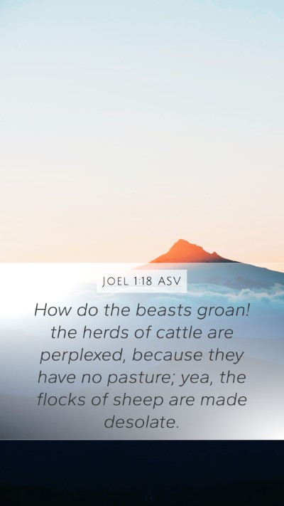 Joel 1:18 ASV Bible Verse Image