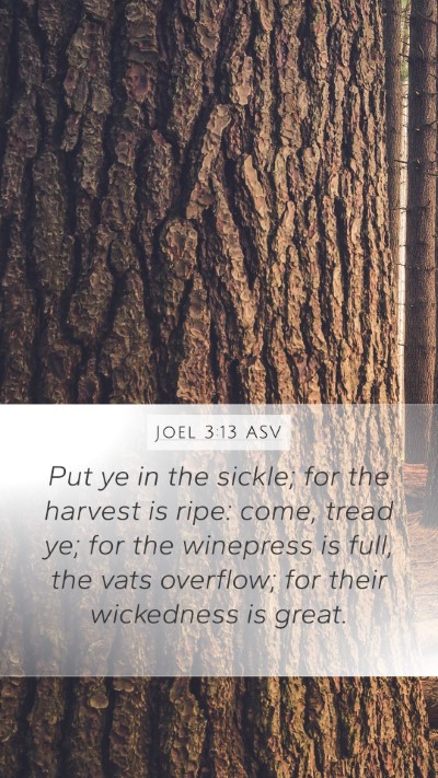 Joel 3:13 ASV Bible Verse Image