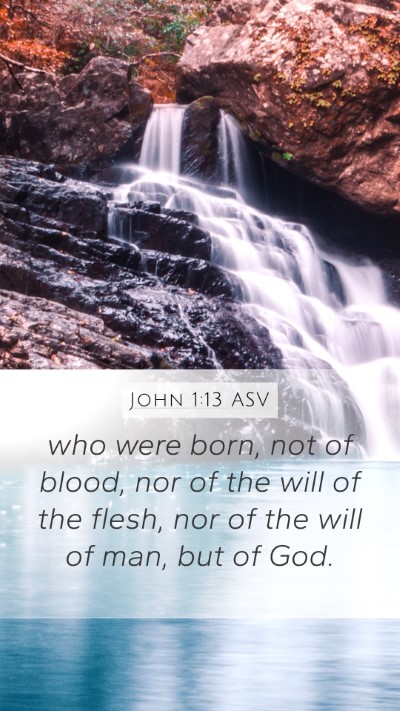 John 1:13 ASV Bible Verse Image