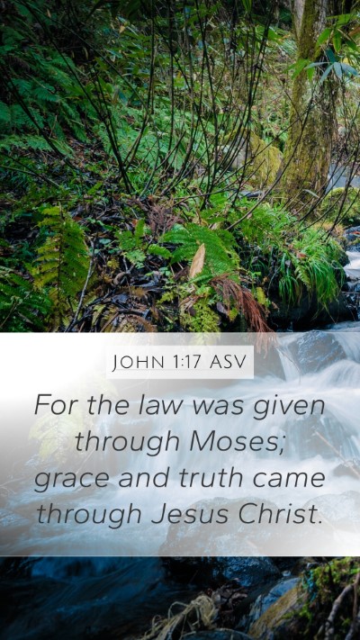John 1:17 ASV Bible Verse Image
