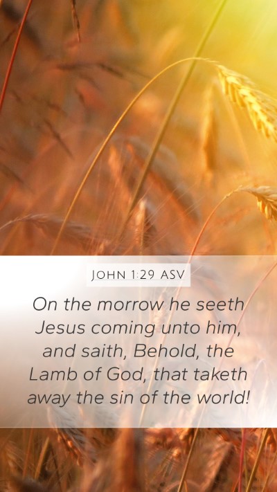John 1:29 ASV Bible Verse Image