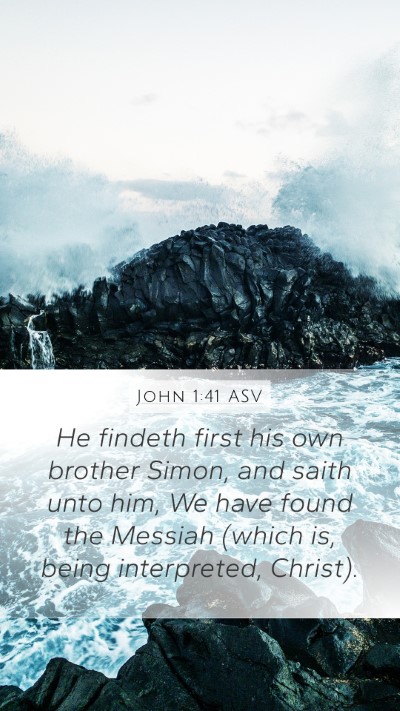 John 1:41 ASV Bible Verse Image