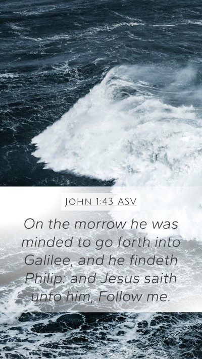 John 1:43 ASV Bible Verse Image