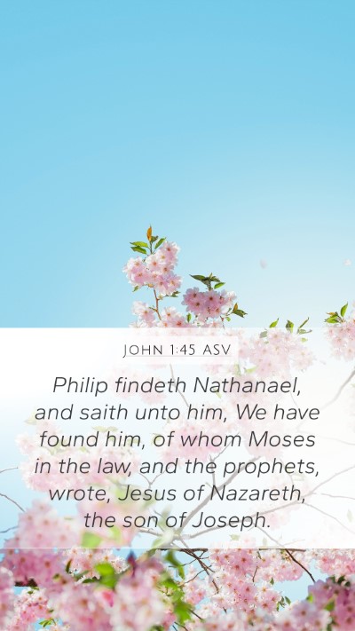 John 1:45 ASV Bible Verse Image