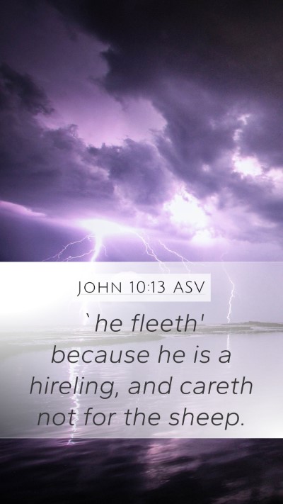 John 10:13 ASV Mobile Phone Wallpaper - `he fleeth' because he is a hireling, and careth - Mobile Bible Verse Wallpaper