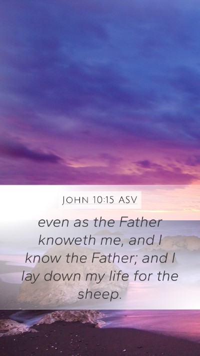 John 10:15 ASV Bible Verse Image