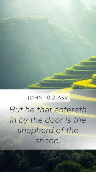 John 10:2 ASV Mobile Phone Wallpaper - But he that entereth in by the door is the - Mobile Bible Verse Wallpaper