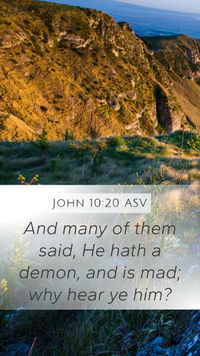 John 10:20 ASV Bible Verse Image