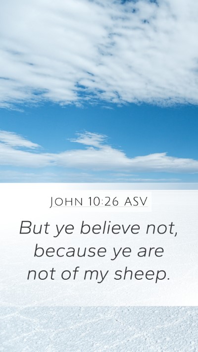 John 10:26 ASV Bible Verse Image