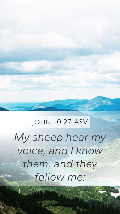John 10:27 ASV Bible Verse Image
