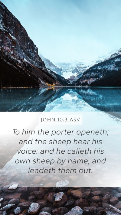 John 10:3 ASV Bible Verse Image