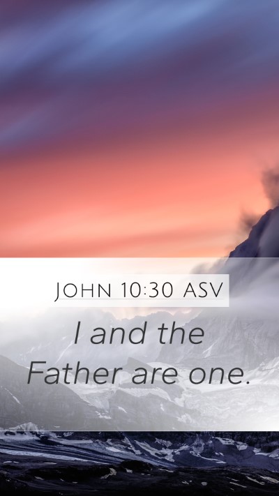 John 10:30 ASV Mobile Phone Wallpaper - I and the Father are - Mobile Bible Verse Wallpaper