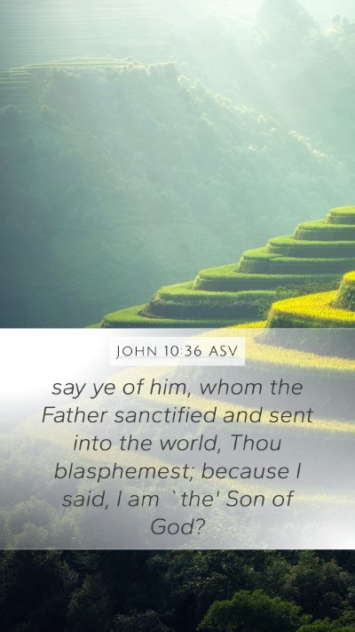 John 10:36 ASV Bible Verse Image