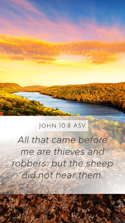 John 10:8 ASV Bible Verse Image