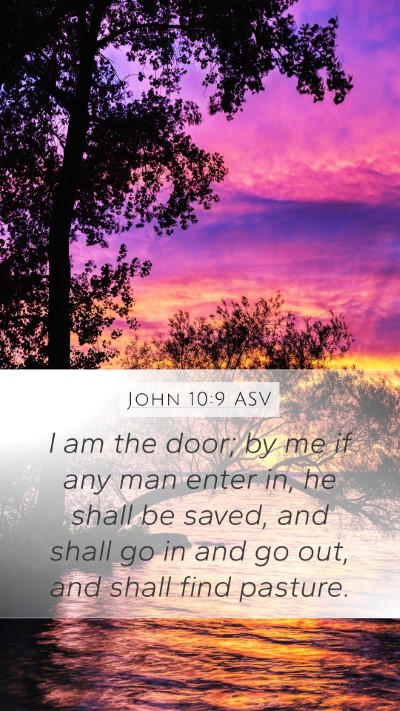John 10:9 ASV Bible Verse Image