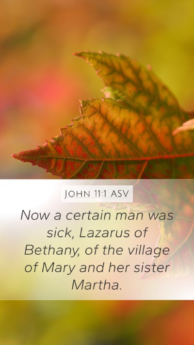 John 11:1 ASV Bible Verse Image