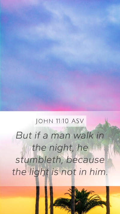John 11:10 ASV Bible Verse Image