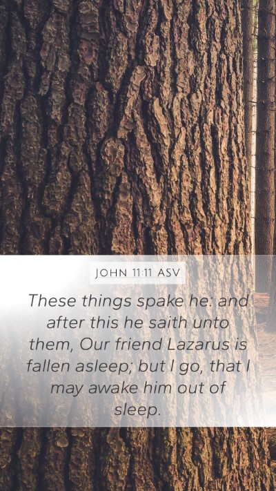 John 11:11 ASV Bible Verse Image