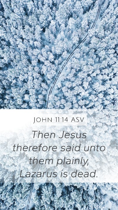 John 11:14 ASV Mobile Phone Wallpaper - Then Jesus therefore said unto them plainly, - Mobile Bible Verse Wallpaper