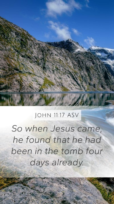 John 11:17 ASV Bible Verse Image