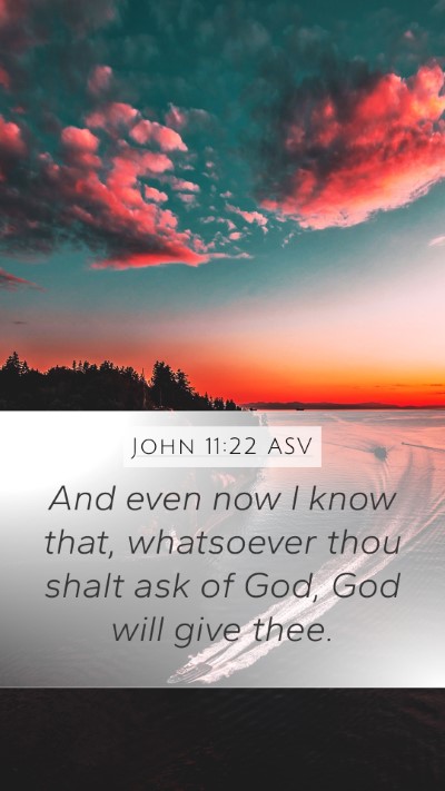 John 11:22 ASV Bible Verse Image