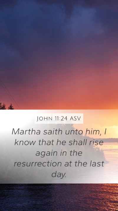 John 11:24 ASV Bible Verse Image