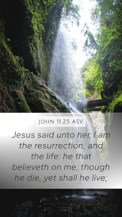 John 11:25 ASV Bible Verse Image