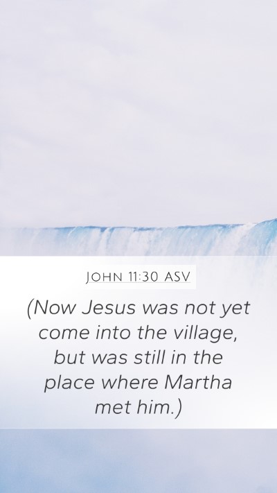 John 11:30 ASV Bible Verse Image