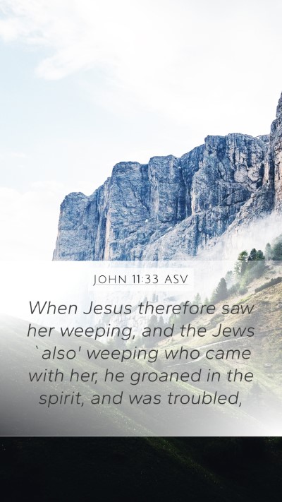 John 11:33 ASV Bible Verse Image