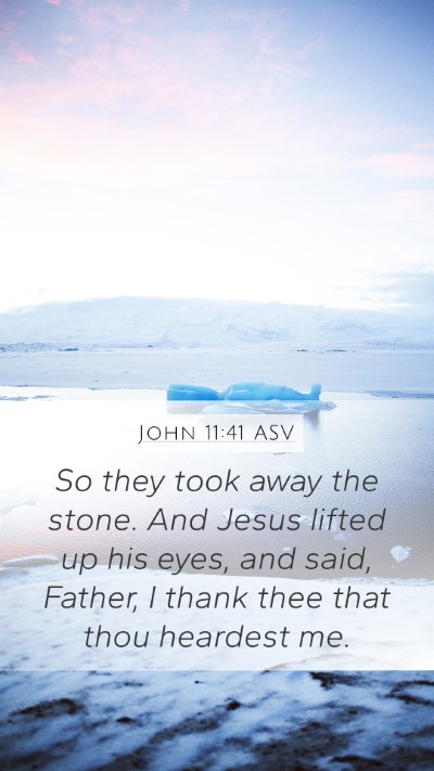 John 11:41 ASV Bible Verse Image