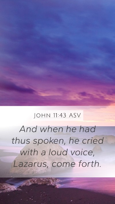 John 11:43 ASV Bible Verse Image