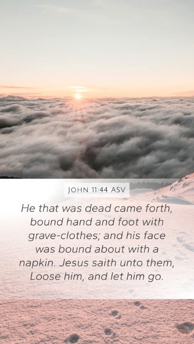 John 11:44 ASV Bible Verse Image