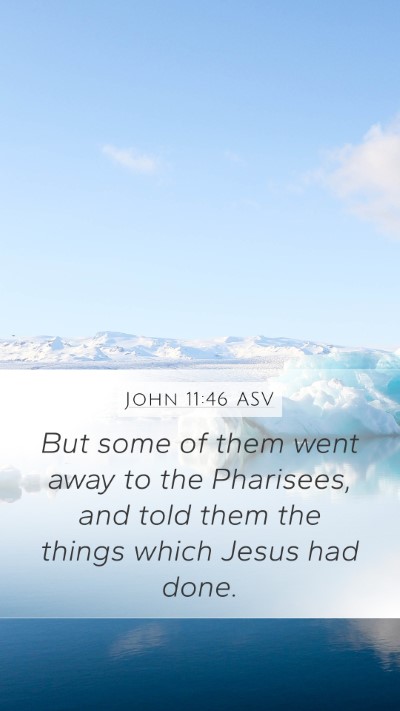 John 11:46 ASV Bible Verse Image