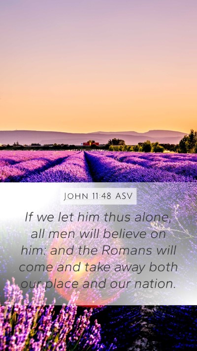 John 11:48 ASV Bible Verse Image