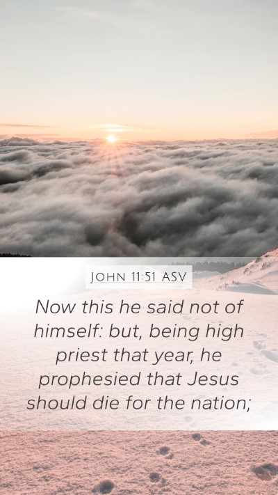 John 11:51 ASV Bible Verse Image