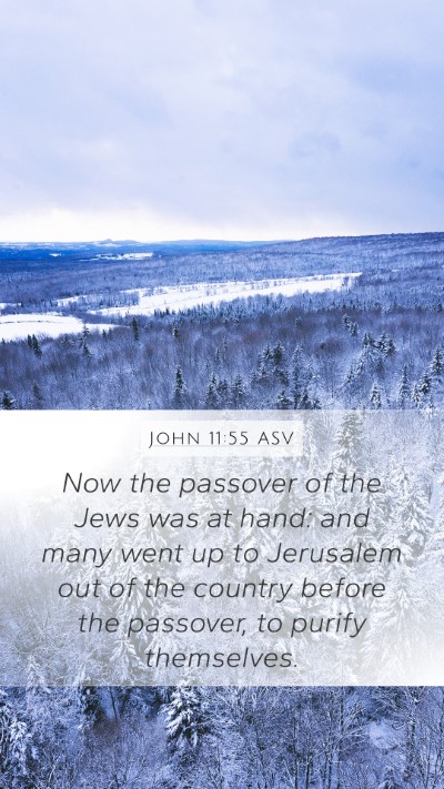 John 11:55 ASV Bible Verse Image