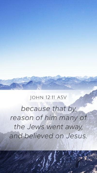 John 12:11 ASV Mobile Phone Wallpaper - because that by reason of him many of the Jews - Mobile Bible Verse Wallpaper