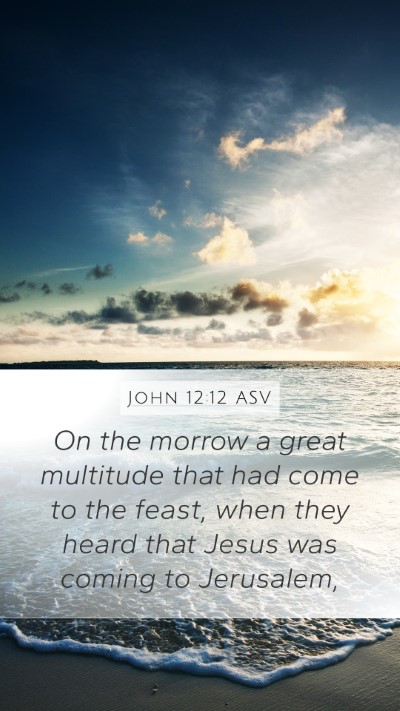 John 12:12 ASV Bible Verse Image