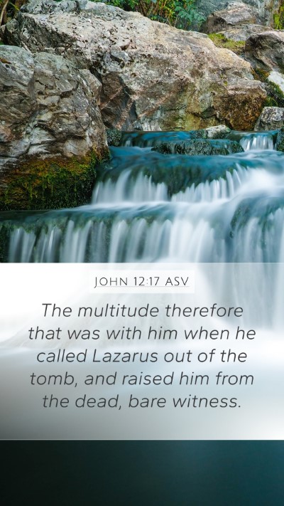 John 12:17 ASV Bible Verse Image